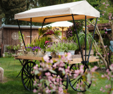 Buffetwagen Classic mit Dach Alternativbild